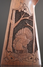 Wild Turkey Detail
