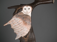 Protector - Barn Owl
